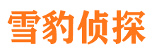 乐业找人公司